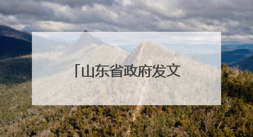 山东省政府发文，13项主要任务推动省级水网“一网统管”