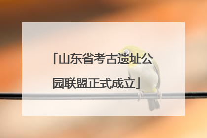 山东省考古遗址公园联盟正式成立