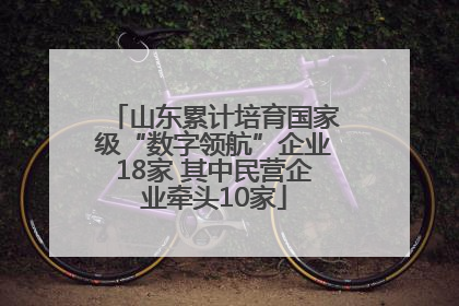 山东累计培育国家级“数字领航”企业18家 其中民营企业牵头10家