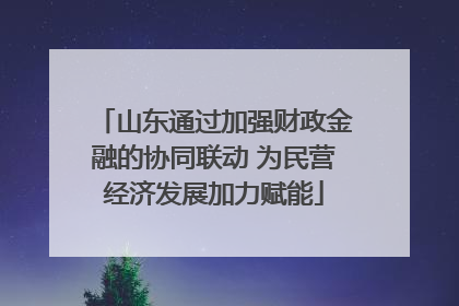 山东通过加强财政金融的协同联动 为民营经济发展加力赋能