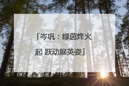 岑巩：绿茵烽火起 跃动展英姿