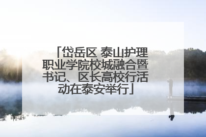 岱岳区 泰山护理职业学院校城融合暨书记、区长高校行活动在泰安举行
