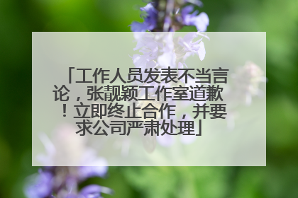 工作人员发表不当言论，张靓颖工作室道歉！立即终止合作，并要求公司严肃处理
