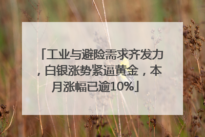 工业与避险需求齐发力，白银涨势紧逼黄金，本月涨幅已逾10%