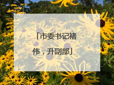 市委书记褚伟，升副部