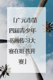 广元市第四届青少年书画传习大赛在旺苍开赛