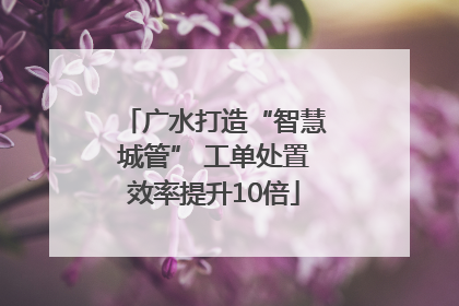 广水打造“智慧城管” 工单处置效率提升10倍
