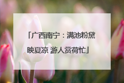 广西南宁：满池粉黛映夏凉 游人赏荷忙