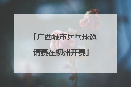广西城市乒乓球邀请赛在柳州开赛