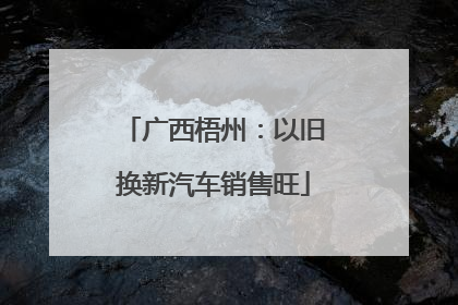 广西梧州：以旧换新汽车销售旺