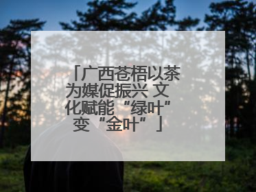 广西苍梧以茶为媒促振兴 文化赋能“绿叶”变“金叶”