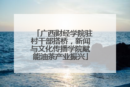 广西财经学院驻村干部搭桥，新闻与文化传播学院赋能油茶产业振兴