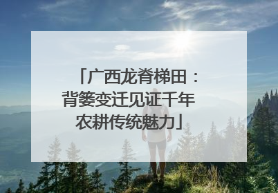 广西龙脊梯田：背篓变迁见证千年农耕传统魅力