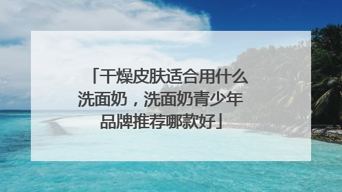 干燥皮肤适合用什么洗面奶，洗面奶青少年品牌推荐哪款好