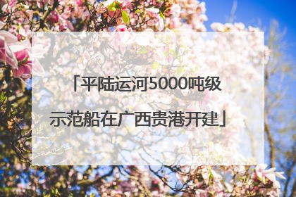 平陆运河5000吨级示范船在广西贵港开建