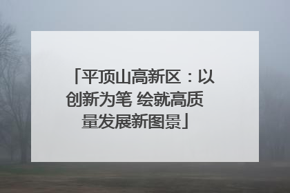 平顶山高新区：以创新为笔 绘就高质量发展新图景