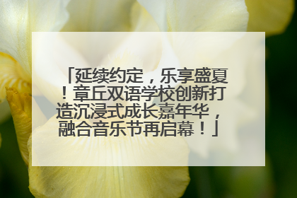 延续约定，乐享盛夏！章丘双语学校创新打造沉浸式成长嘉年华，融合音乐节再启幕！