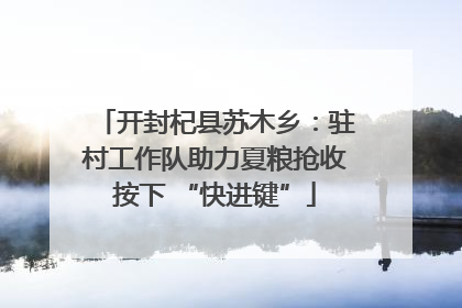 开封杞县苏木乡：驻村工作队助力夏粮抢收按下 “快进键”