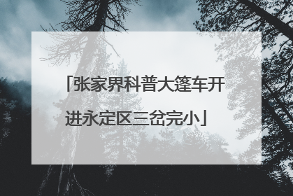 张家界科普大篷车开进永定区三岔完小