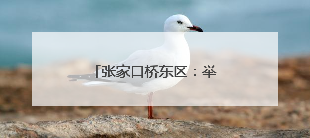 张家口桥东区：举办校园开放日活动