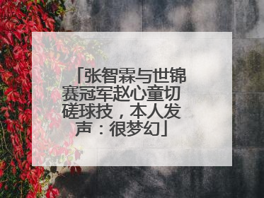 张智霖与世锦赛冠军赵心童切磋球技，本人发声：很梦幻