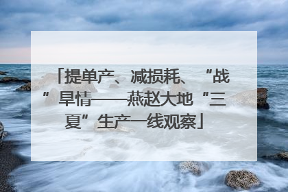 提单产、减损耗、“战”旱情——燕赵大地“三夏”生产一线观察