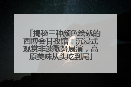 揭秘三种颜色绘就的西博会甘孜馆：沉浸式观赏非遗歌舞展演，高原美味从头吃到尾