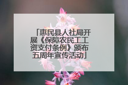 惠民县人社局开展《保障农民工工资支付条例》颁布五周年宣传活动