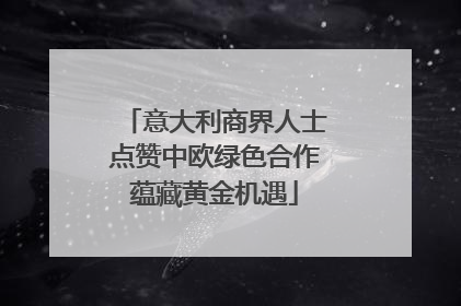 意大利商界人士点赞中欧绿色合作蕴藏黄金机遇