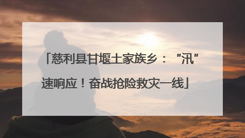 慈利县甘堰土家族乡：“汛”速响应！奋战抢险救灾一线