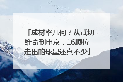 成材率几何？从武切维奇到申京，16顺位走出的球星还真不少