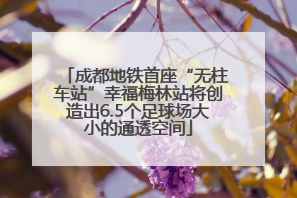 成都地铁首座“无柱车站”幸福梅林站将创造出6.5个足球场大小的通透空间