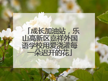 成长加油站，乐山高新区嘉祥外国语学校用爱浇灌每一朵迟开的花