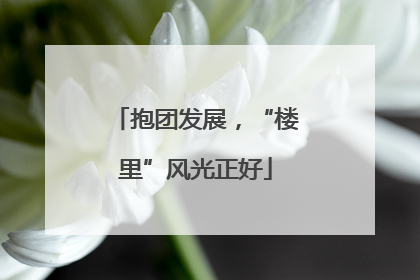 抱团发展，“楼里”风光正好