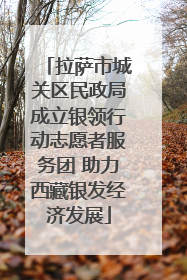拉萨市城关区民政局成立银领行动志愿者服务团 助力西藏银发经济发展