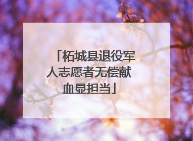 柘城县退役军人志愿者无偿献血显担当