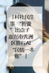村社民生事 “智囊”出点子 嘉兴市秀洲区推行AI“民情一本账”