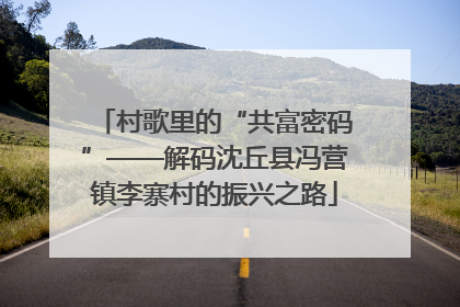 村歌里的“共富密码”——解码沈丘县冯营镇李寨村的振兴之路