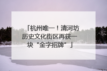 杭州唯一！清河坊历史文化街区再获一块“金字招牌”