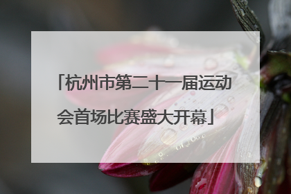 杭州市第二十一届运动会首场比赛盛大开幕