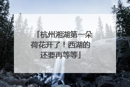 杭州湘湖第一朵荷花开了！西湖的还要再等等