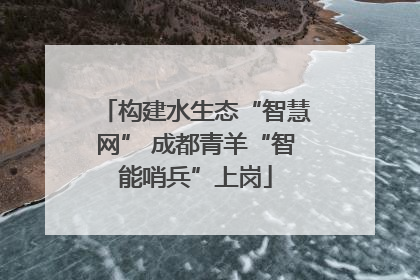 构建水生态“智慧网” 成都青羊“智能哨兵”上岗