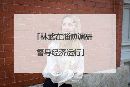 林武在淄博调研督导经济运行