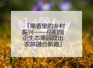 果香里的乡村振兴——岳阳国企生态果园蹚出农旅融合新路