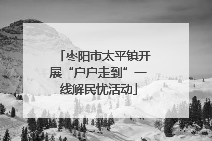 枣阳市太平镇开展“户户走到”一线解民忧活动