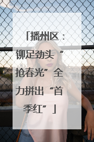 播州区：铆足劲头“抢春光”全力拼出“首季红”
