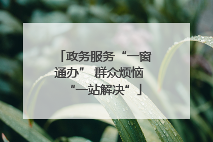 政务服务“一窗通办” 群众烦恼“一站解决”