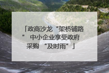 政商沙龙“架桥铺路” 中小企业享受政府采购 “及时雨”