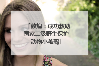 敦煌：成功救助国家二级野生保护动物小苇鳽