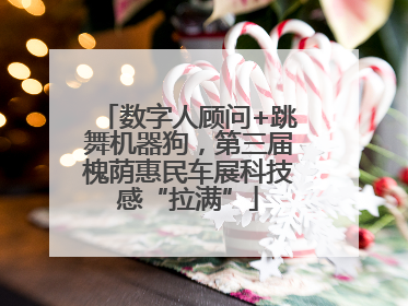 数字人顾问+跳舞机器狗，第三届槐荫惠民车展科技感“拉满”